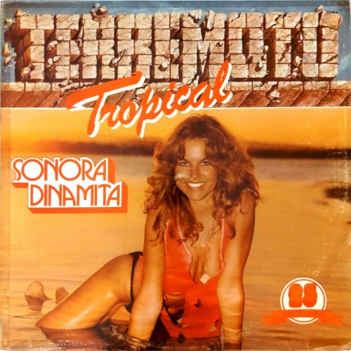 Terremoto tropical封面