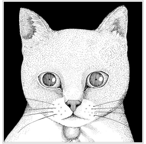 ALL YOU NEED IS CAT〜猫こそはすべて封面