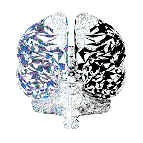 Dual-Brained¹封面
