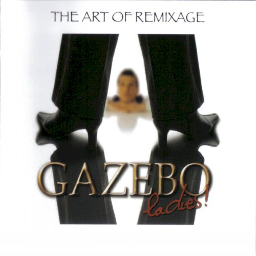 Ladies! The Art of Remixage封面