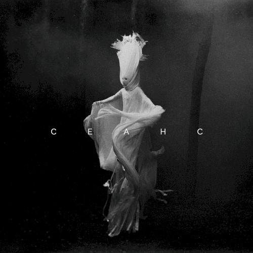 CEAHC封面