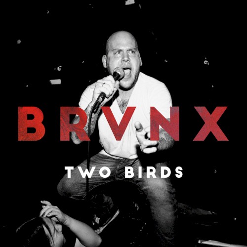 Two Birds封面