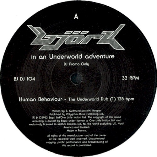 Björk in an Underworld Adventure封面