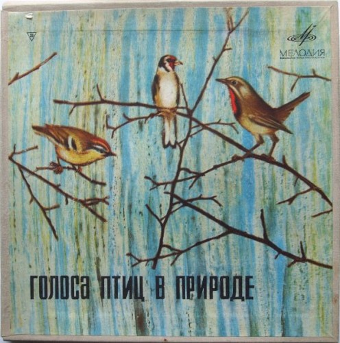 Voices Of Birds In Nature封面