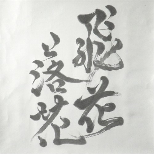 飛花落花封面
