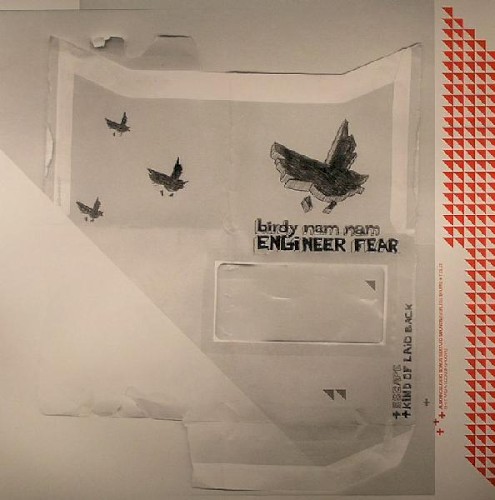 Engineer Fear封面