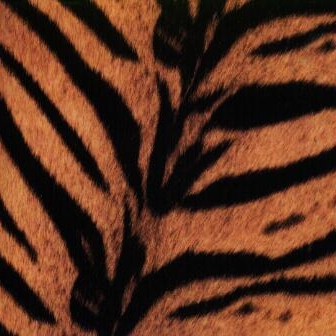 Tigermobile封面