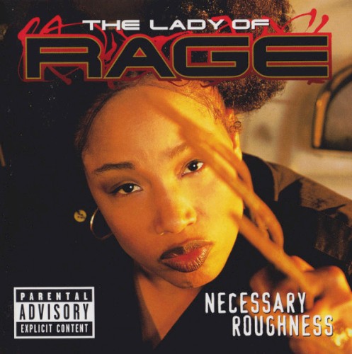 Necessary Roughness封面