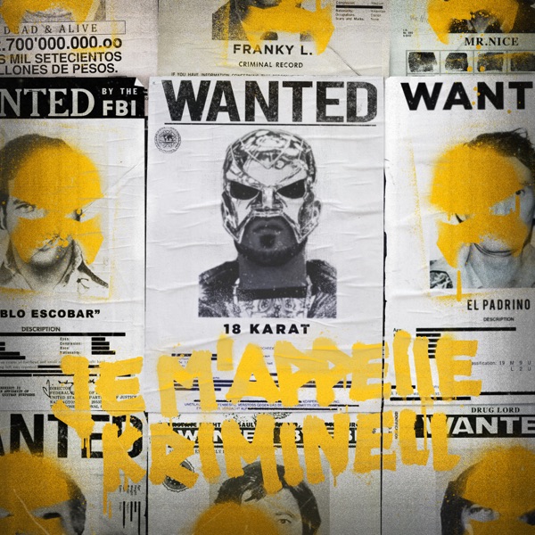 Je m'appelle Kriminell封面