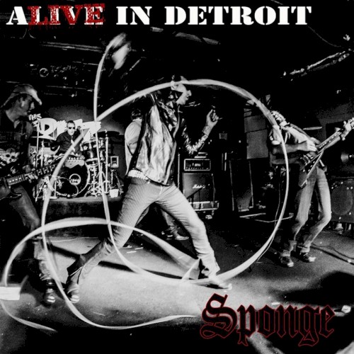 Alive in Detroit封面