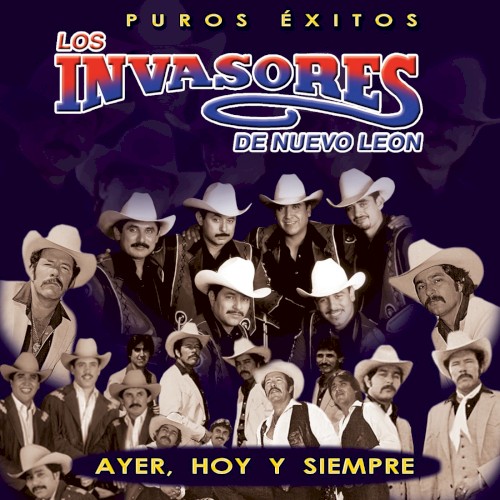Puros éxitos封面
