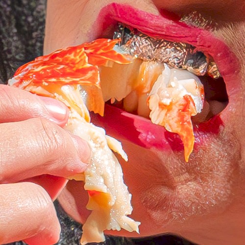 Not in Your Mouth None of Your Business封面