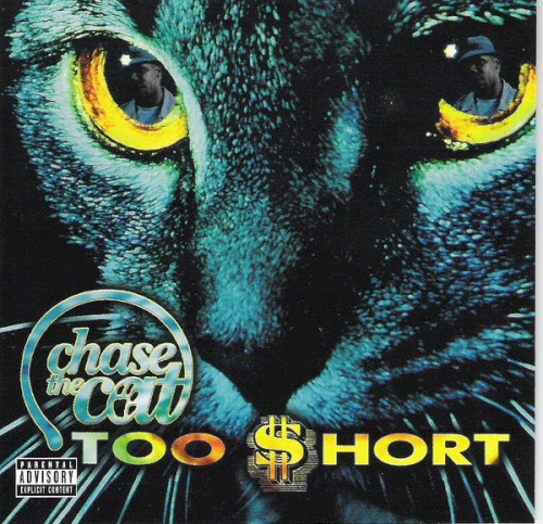 Chase the Cat封面