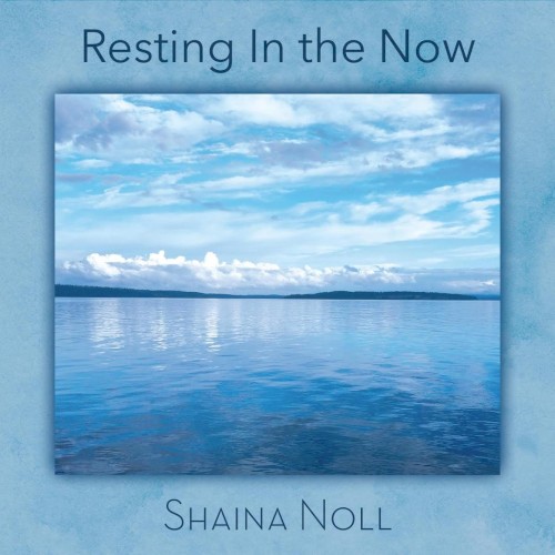 Resting in the Now封面