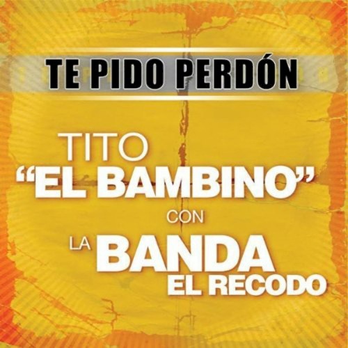 Te pido perdón封面