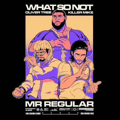 Mr Regular封面