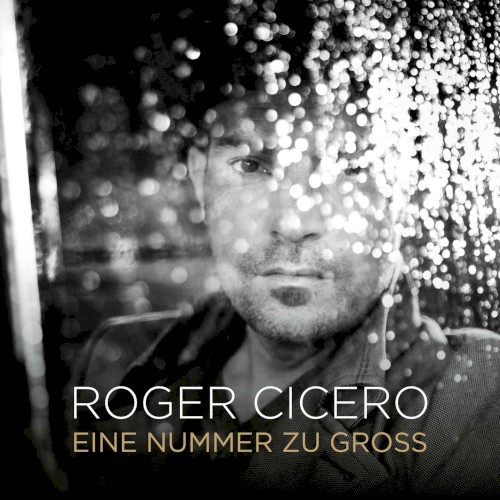 Eine Nummer zu groß封面
