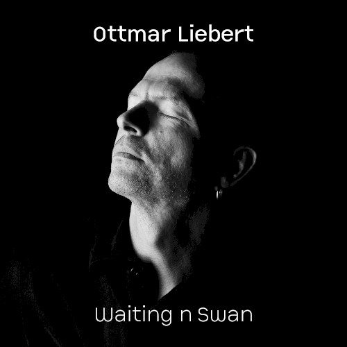 Waiting n Swan封面