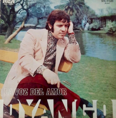 La voz del amor封面
