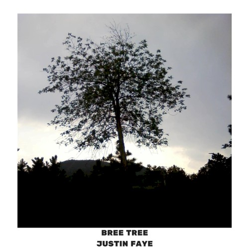 Bree Tree封面