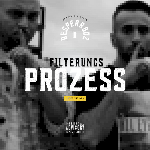 Filterungsprozess封面