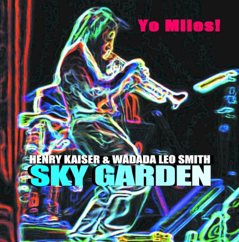 Sky Garden封面