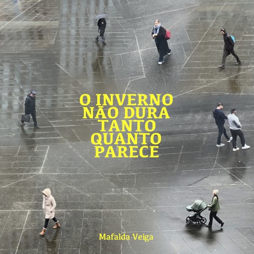 O inverno não dura tanto quanto parece封面