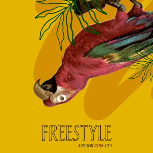 Freestyle封面