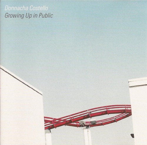 Growing Up in Public封面