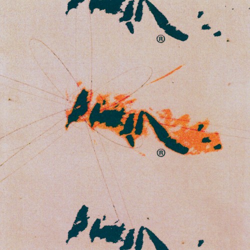 Vol 1: Skins封面