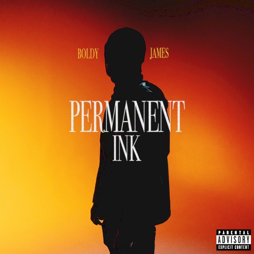 Permanent Ink封面