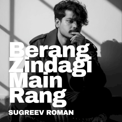 Berang Zindagi Main Rang封面