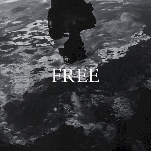 Free封面