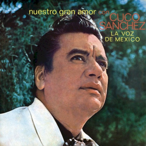 Nuestro gran amor封面