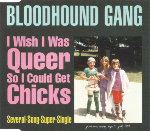 I Wish I Was Queer So I Could Get Chicks封面