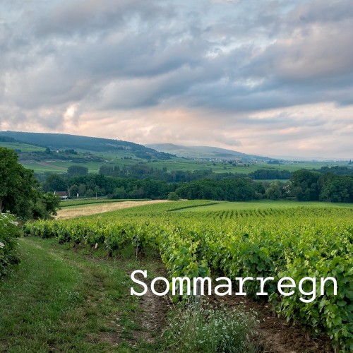 Sommarregn封面
