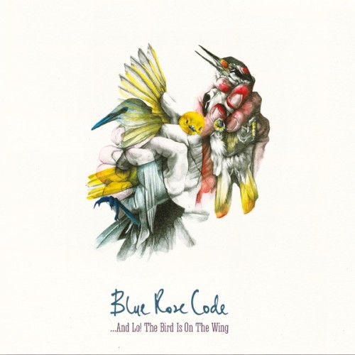 ...And Lo! The Bird Is On The Wing封面