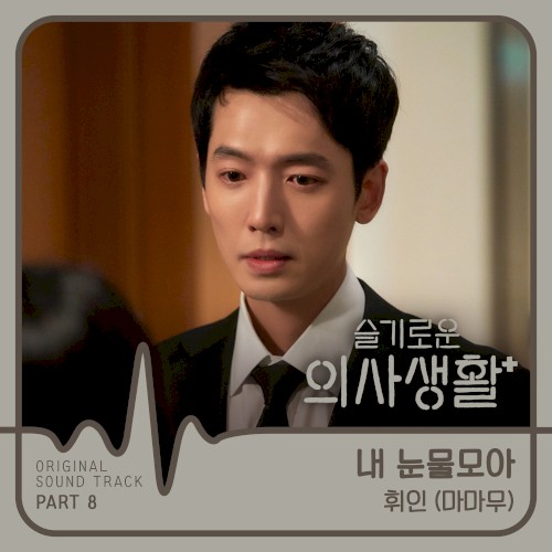 슬기로운 의사생활 OST Part 8封面
