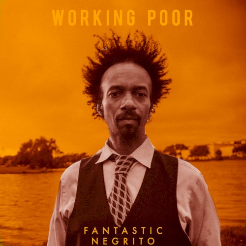 Working Poor封面