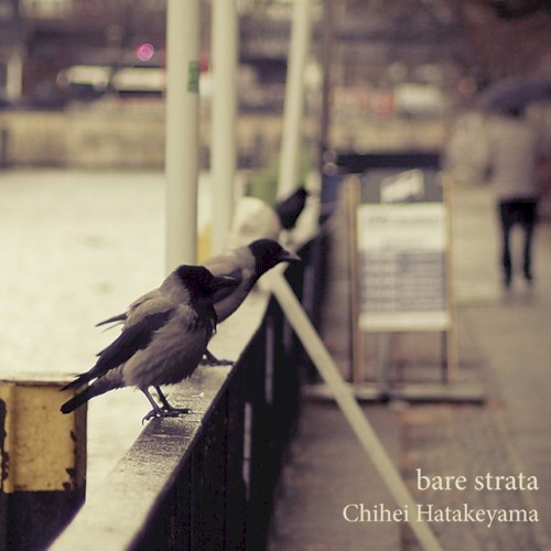 Bare Strata封面