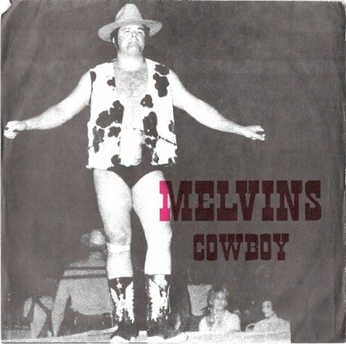 Cowboy / Hillbilly封面