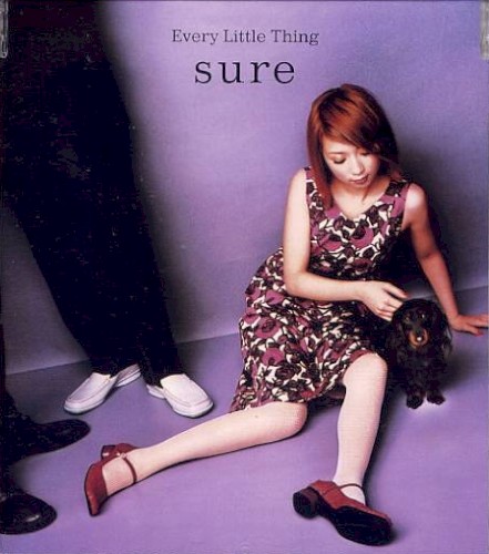 sure封面