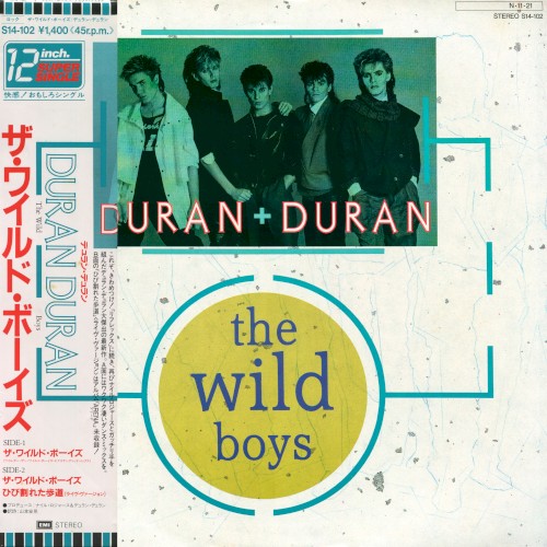 The Wild Boys封面