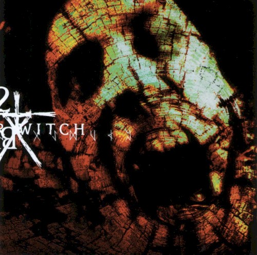 Book of Shadows: Blair Witch 2封面