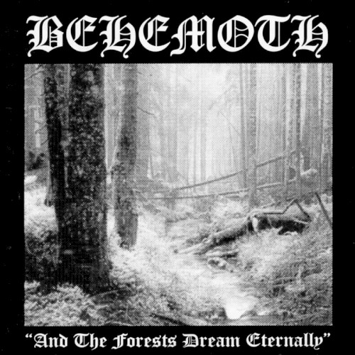 And the Forests Dream Eternally封面