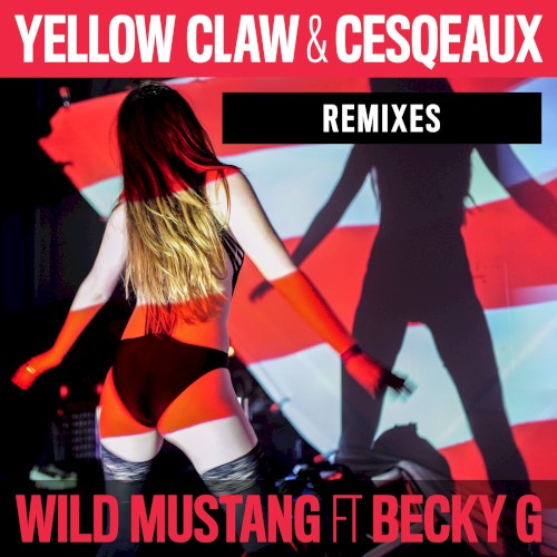 Wild Mustang (Remixes)封面