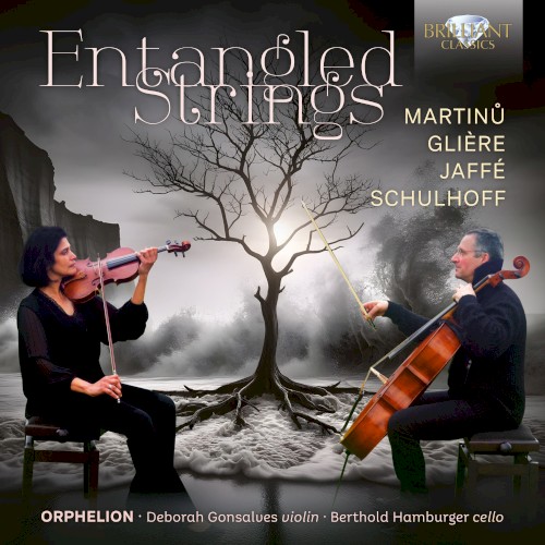 Entangled Strings封面