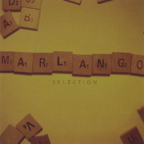 Selection封面