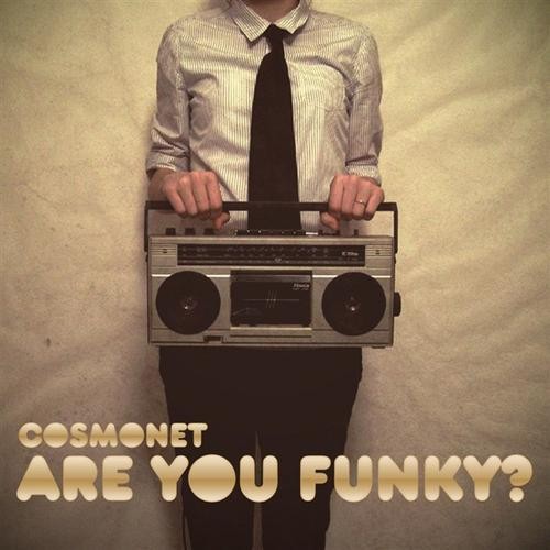 Are You Funky?封面