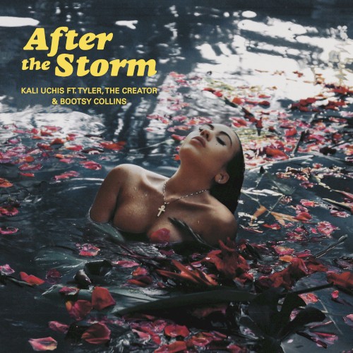 After the Storm封面